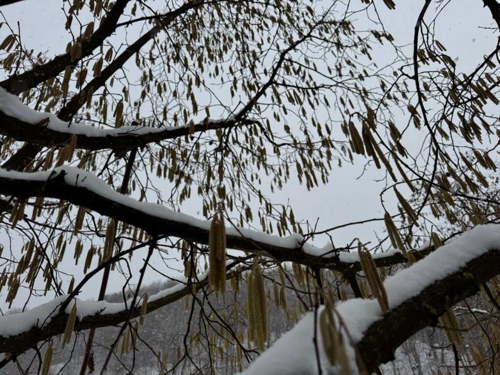 Bâlea Lac și Transfăgărășanul, acoperite de zăpadă la final de octombrie