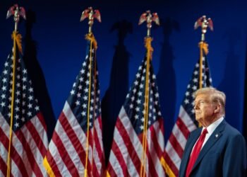 shutterstock 2479222827